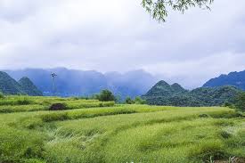 Pu Luong Cycling Trip: Explore Vietnam’s Hidden Highlands on Two Wheels